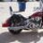 Bigdog357