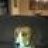Mortard