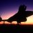 Blackbird77