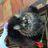 straycat23