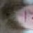 PeeWeeHerman