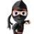 Ninja warrior