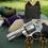 Longcarbine