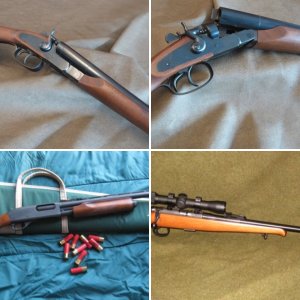 Rifles