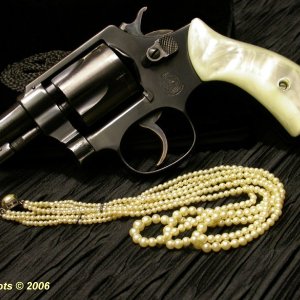 S&W Terrier