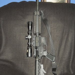 Smith & Wesson M&P 15 PSX(Scoped)