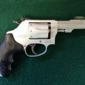 Model 317