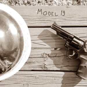 Model 19-2