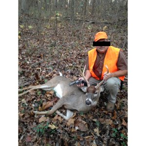 2016 Deer Harvest