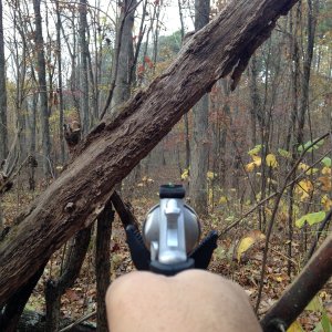 2016 Deer stand