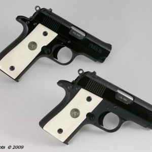 Colt Mustangs