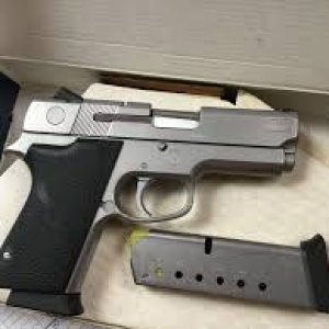 45561