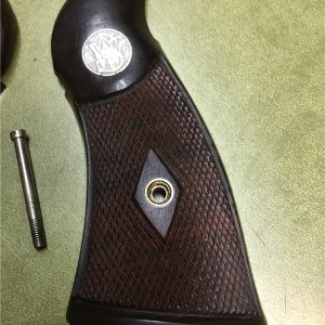 Registered Magnum Grips 4