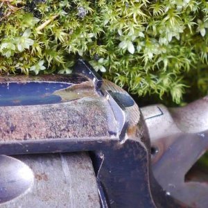 Rear sight detail of a King modified "fixed sight target" Model of 1905
