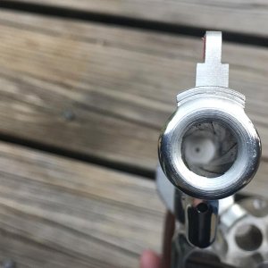 IMG 0699