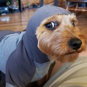 sammy