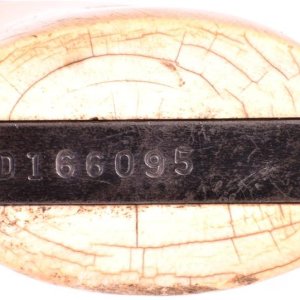 bottom view 10-5 w/ivory