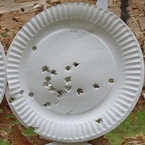 3 clips
