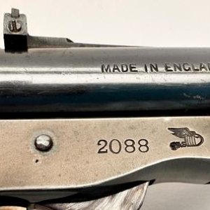 Weblye winged bullet