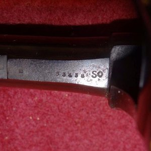 aDSC05088