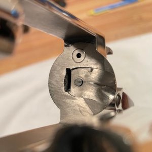 IMG 0479