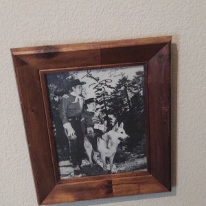 Rin Tin Tin