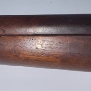 Left Side Forearm