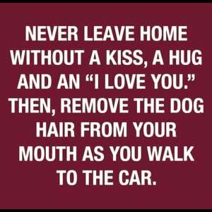 never leave home