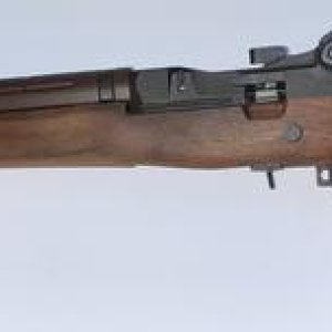 Springfield M1A