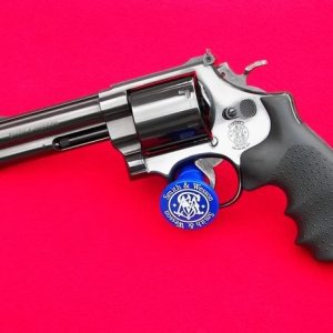 Smith & Wesson model 29-3 5" 
Classic Hunter