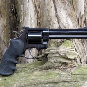 Smith & Wesson Model 29-5 6" 
Classic Hunter