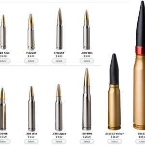 ammo2