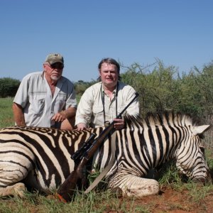 plains zebra burchell's