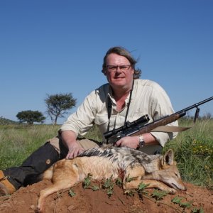 220 yard Black Backed Jackal