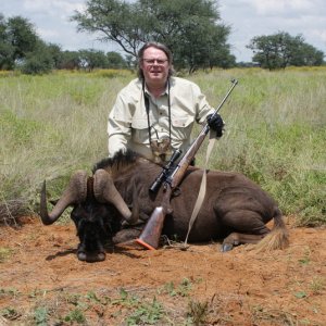 black wildebeest male Gold medal