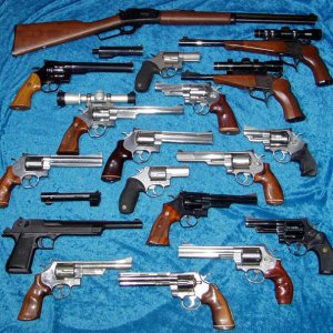 41 Magnum Stable