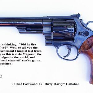 This is the classic line from the movie "Dirty Harry" which first showed in theatres in 1971. Sales of the Model 29 skyrocketed after that, and these 