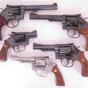 .22LR Smith's