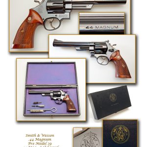 Pre Model 29 (case)