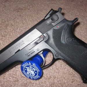 Fixed Sight 3904